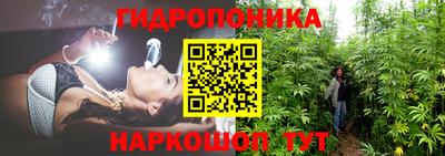 прущий лед Будённовск