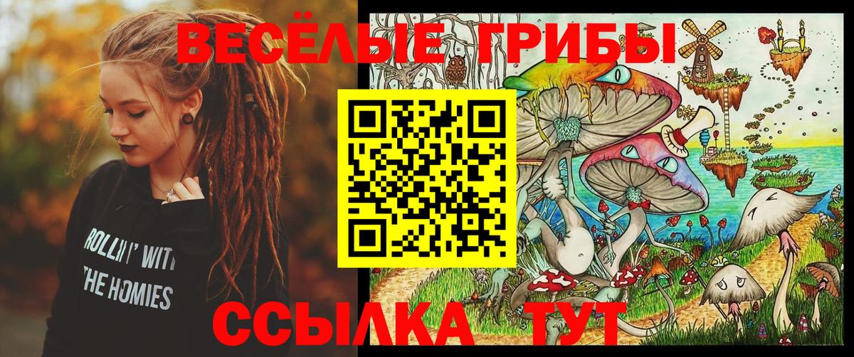 Псилоцибиновые грибы GOLDEN TEACHER  Вход с VPN  Галлюциногенные грибы Magic Shrooms  Пенза 