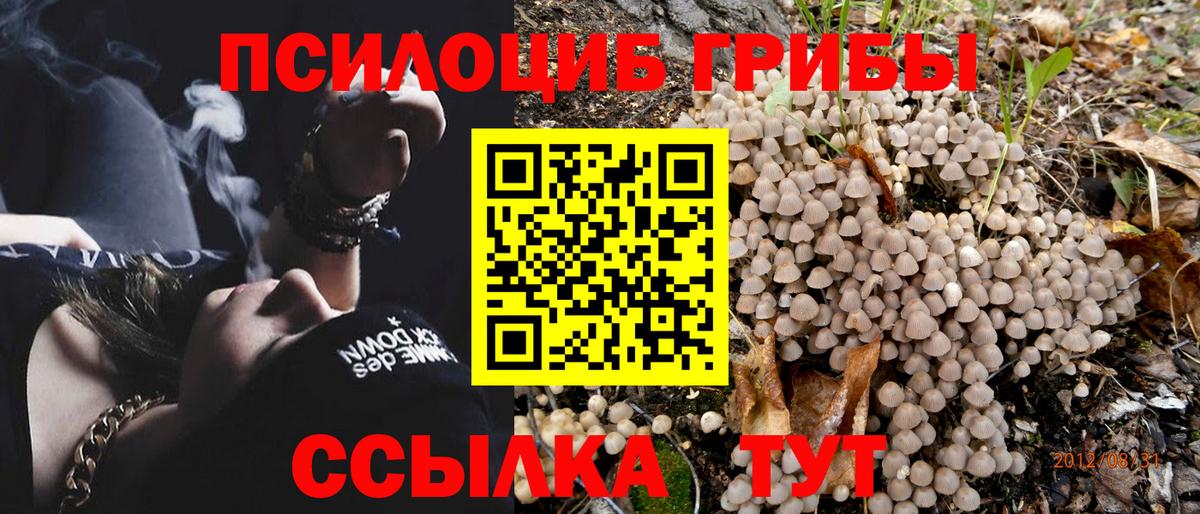 Галлюциногенные грибы прущие грибы Пенза
